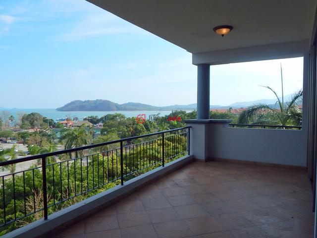 巴拿马篮球锦标赛:巴拿马城队登顶的简单介绍 巴拿马篮球锦标赛:巴拿马城队登顶的简单介绍