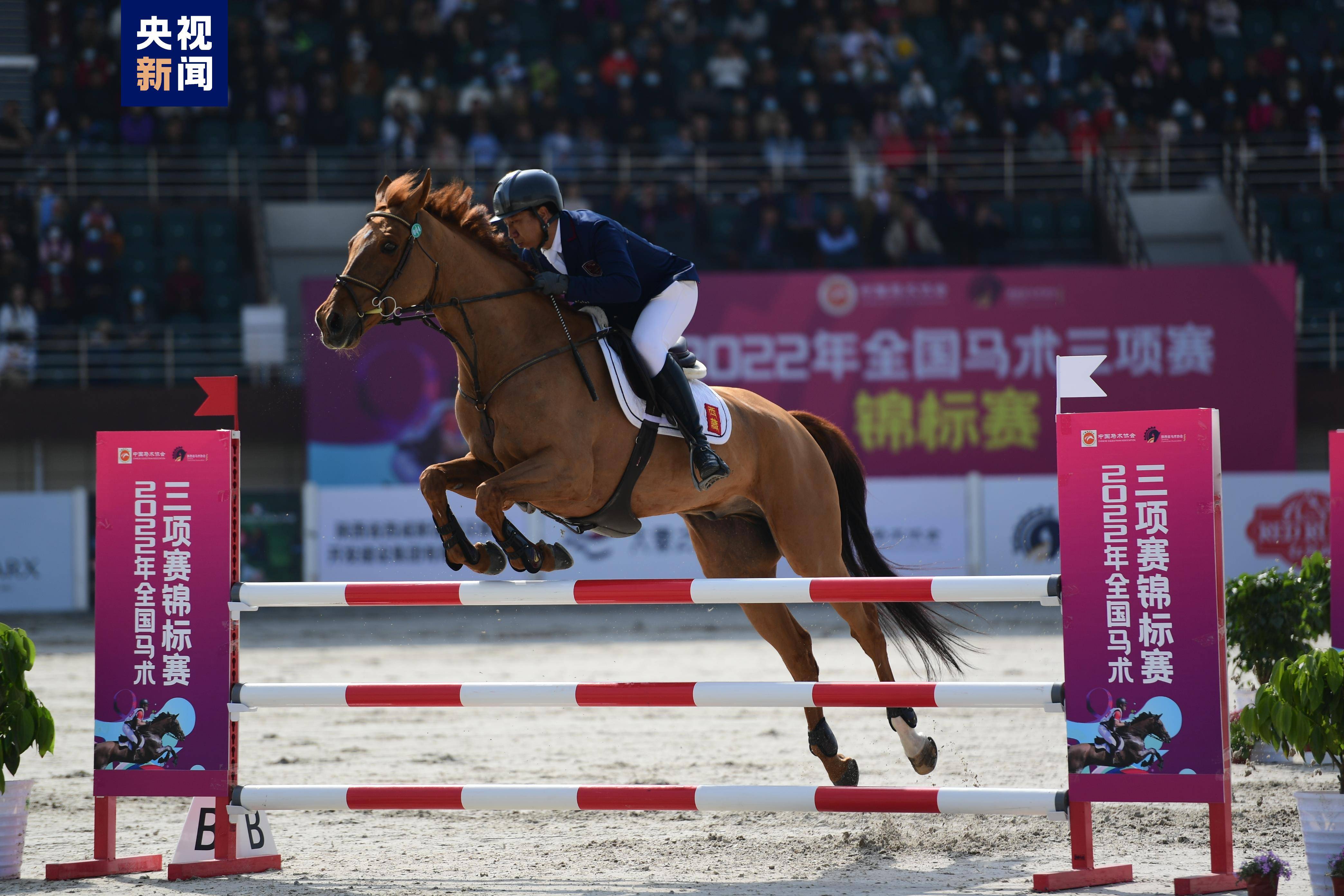 斯洛伐克代表队在马术比赛中斩获冠军,光彩夺目的简单介绍 斯洛伐克代表队在马术比赛中斩获冠军,光彩夺目的简单介绍