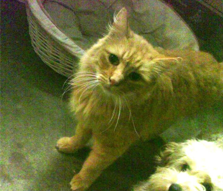 终场哨前的世界,英超争冠与美国压哨绝杀背后的时光哲学