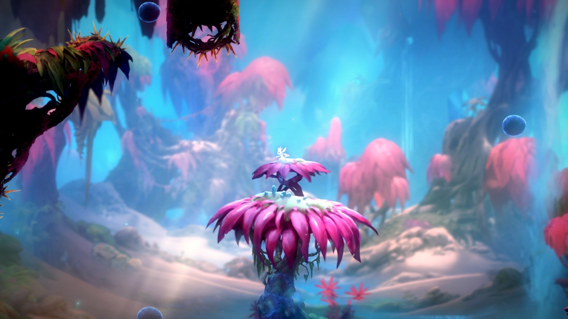 贝恩致敬韦德！从落选秀到关键先生，这场胜利比总冠军更燃