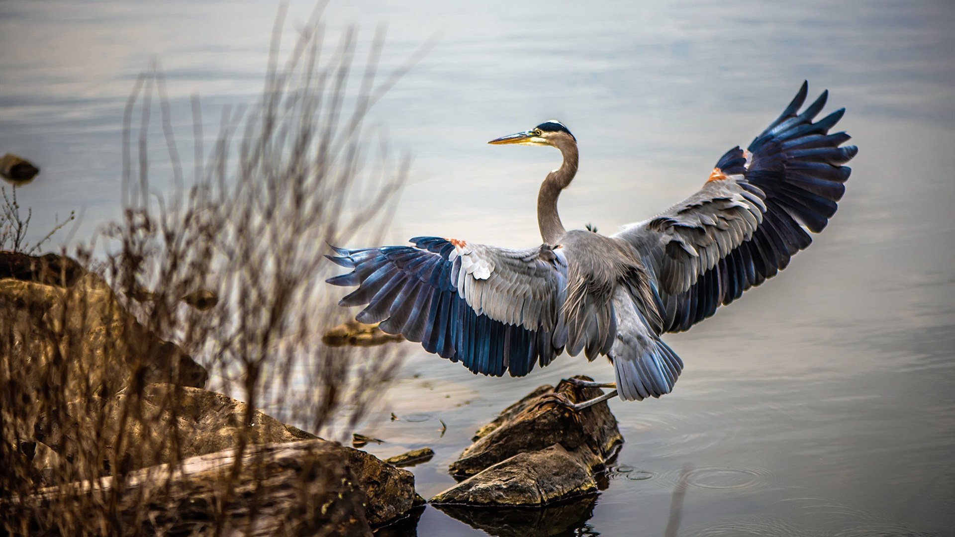 闪电突袭皮斯胡安!戈麦斯一球定乾坤,马里诠释现代足球速度美学