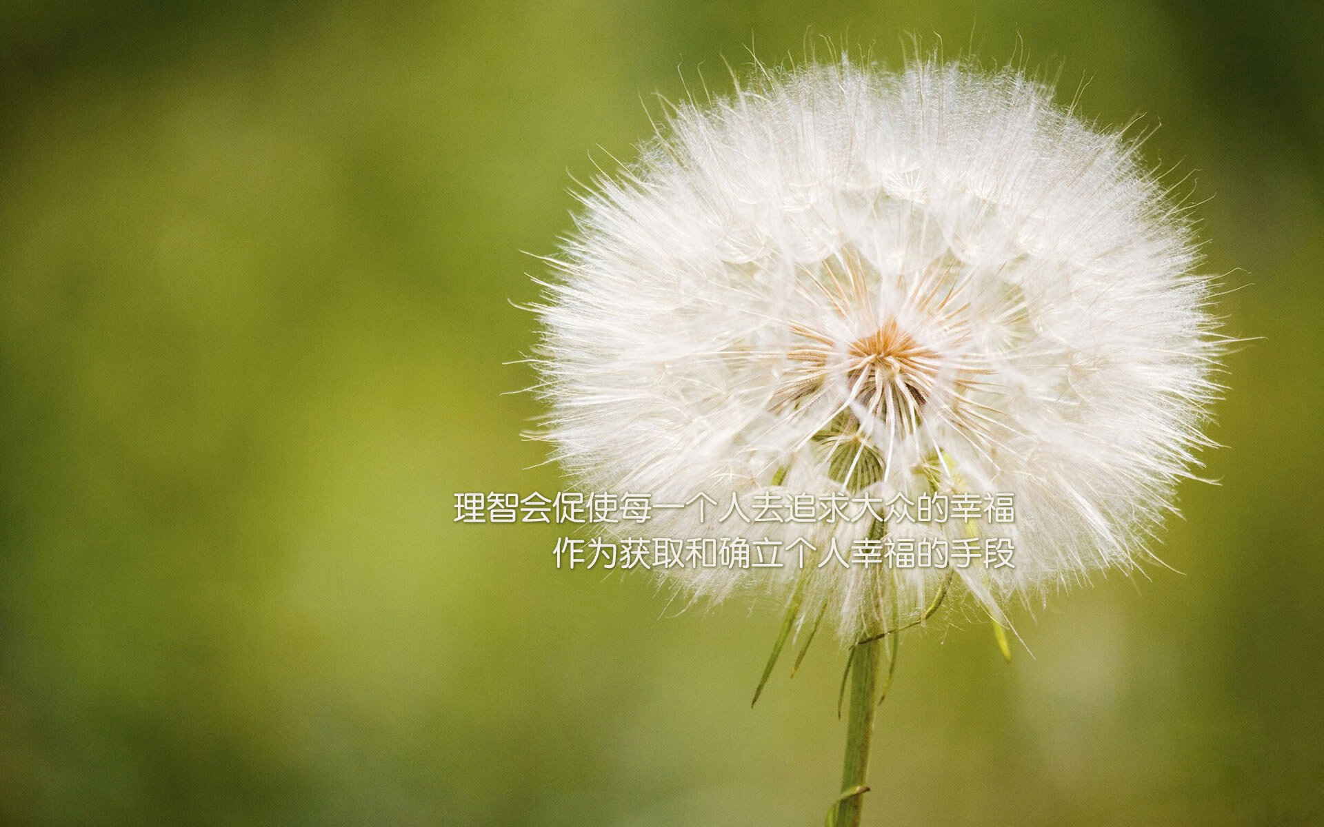 跨界巅峰对决，瑞典足球力克法国，京多安NBA总决赛封神